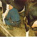 Pa & Ad milking the cows