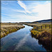 Brook and Reflection in Klamath County