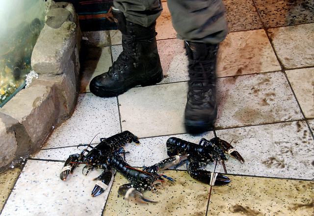Borough Market: Lobsters