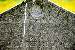 Kleverlaan Cemetery in Haarlem – Here rests our only son