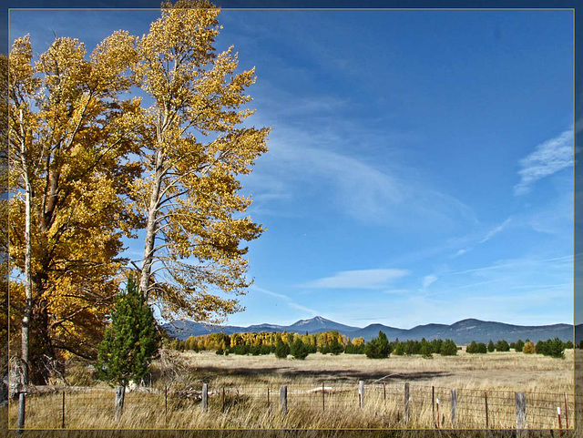 Autumn Colored Landscaped in Klamath County