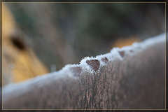 Abstract: Bulldozer Blade Touched by Frost