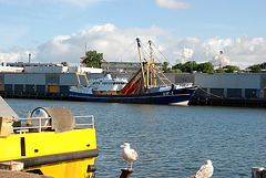 The harbour of IJmuiden: UK-1