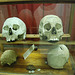 Skulls of some of the soldiers at Waterloo