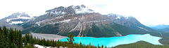 Peyto Lake in the Canadian Rocky Mountains