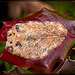 Nature's Artistry: Damaged Oregon-grape Leaf