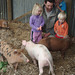 Daniel & kids & piglets