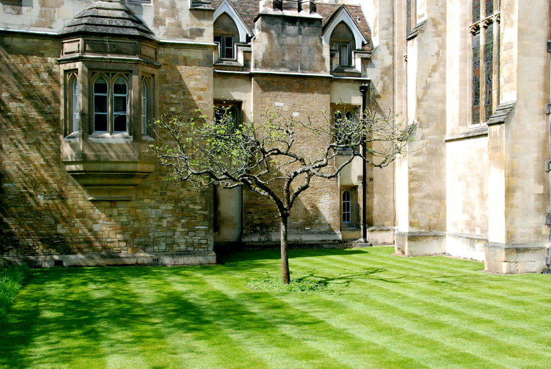 Cambridge: Newton's Apple Tree