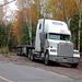 Freightliner truck in the woods