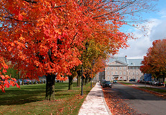 Autumn colours in Quebec, Canada