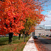 Autumn colours in Quebec, Canada