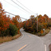 Road with autumn colours