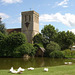 Village Duckpond and Church