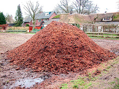 A pile of horse manure