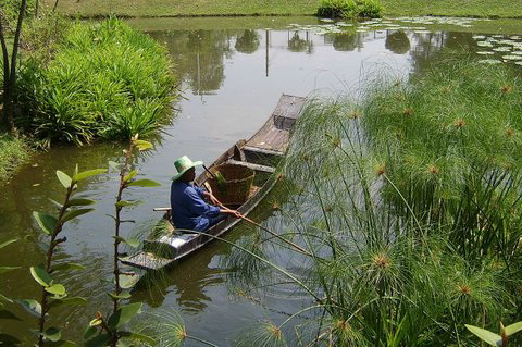 Tranquil Waters Tranquil Waters