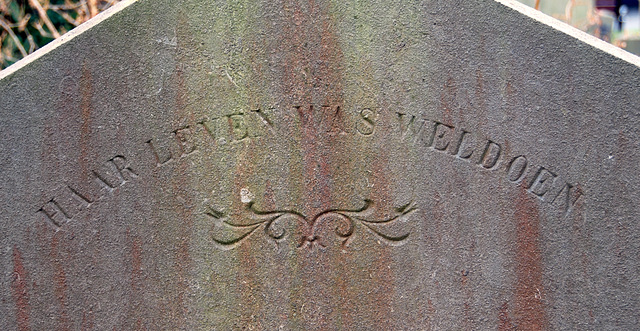 Grave stone at Green Alley Cemetery: "Her life was doing good"