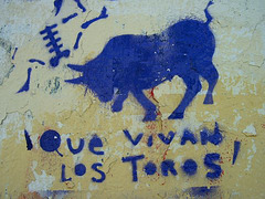 Granada Graffiti- A Bull's Life