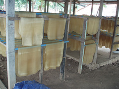 sheets of crude rubber drying