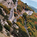 Hairpins on the Road to Ai Petri
