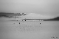The Kessock Bridge from Ardersier, in mist