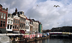 Canals in Leiden: The Nieuwe Rijn (The New Rhine)
