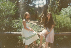 1976 trip to Melbourne Zoo