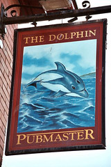 'The Dolphin'