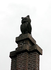 Things on Rooftops: nr. 16 The Owl