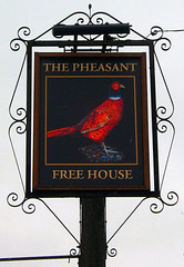 'The Pheasant'
