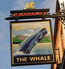 'The Whale'