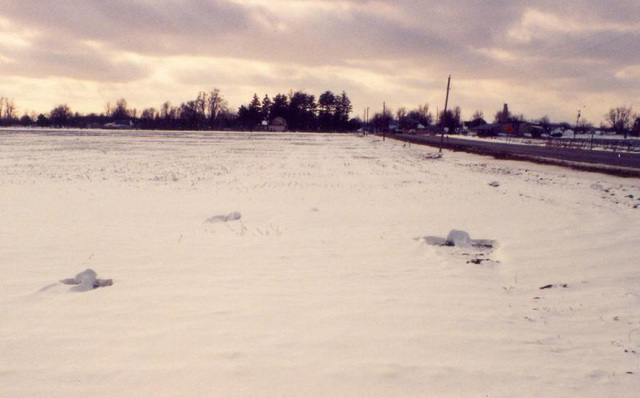 Blowing Snowballs