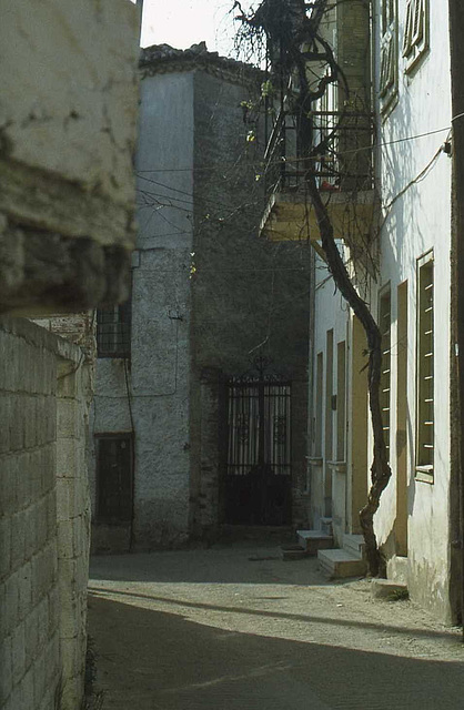 A Corner of Polygiros