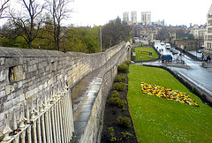 York city wall
