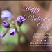 Happy Valentine's Day to all of my Flickr Friends!