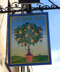 'The Pear Tree'