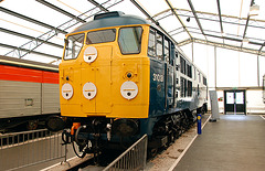 Engine 31018 at the National Railway Museum in York