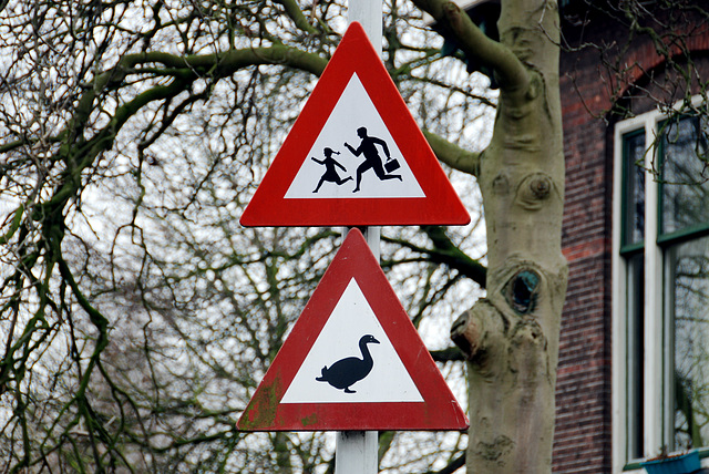 The old running-children traffic sign coupled with a warning sign for geese