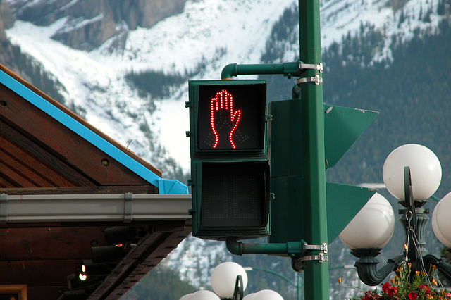 Canadian stop sign for pedestrians in Banff