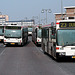 City buses of The Hague at Kijkduin