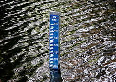 Water level