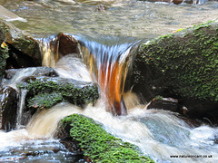 Peat coloured stream 2