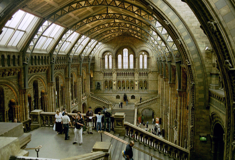Great hall of the Natural History Museum in London
