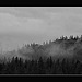 Foggy Ridge Panorama in B/W