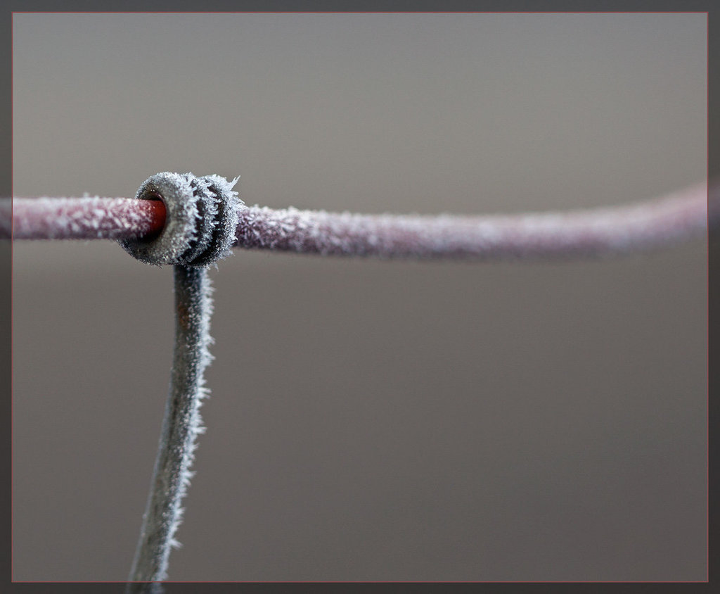 Wrapped Wire Touched by Frost