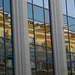 Royal College Street reflected