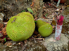 Jack Fruit and Incense