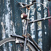 Old Gazelle bicycle