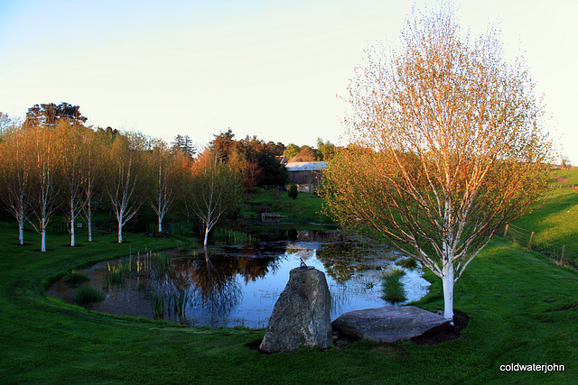 Early evening by the pond