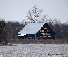 Mail Pouch Tobacco