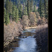 The Applegate River (1 more picture below! :)